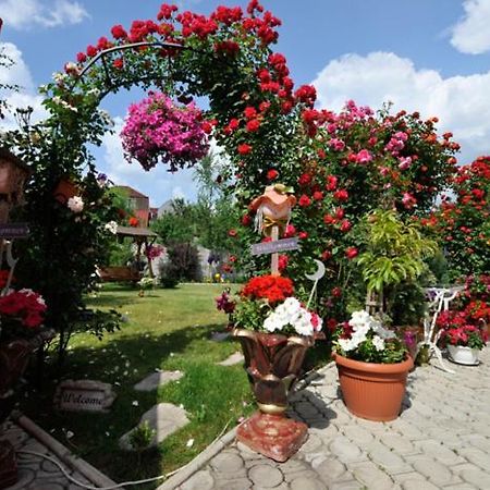 Pensiunea Sofia Τιμισοάρα Εξωτερικό φωτογραφία