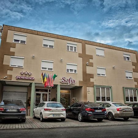 Pensiunea Sofia Τιμισοάρα Εξωτερικό φωτογραφία